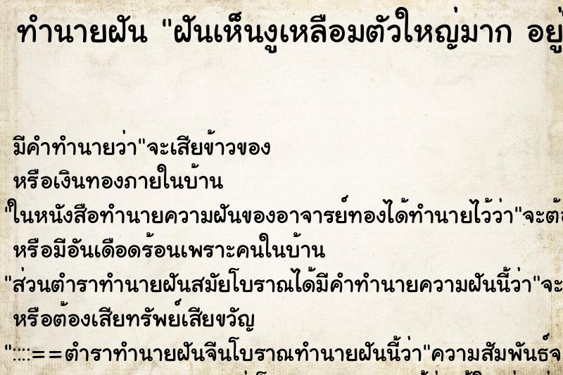 ทำนายฝันฝันเห็นงูเหลือมตัวใหญ่มากอยู่ในน้ำ ทำนายฝันทำนายฝันฝันเห็นงูเหลือมตัวใหญ่มากอยู่ในน้ำ
